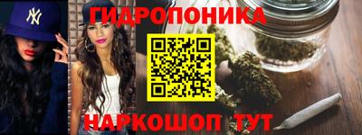jwh Пенза